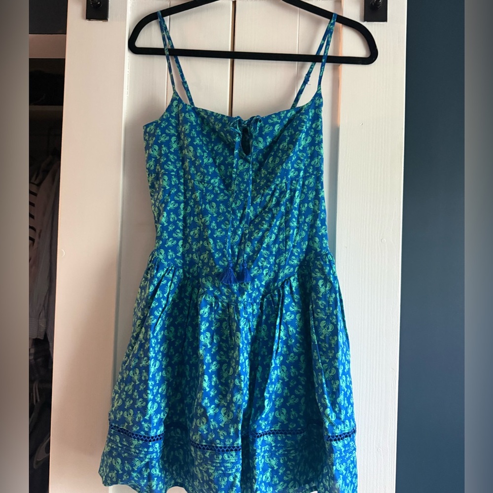 Roller Rabbit Blue and Green Floral Mini Dress